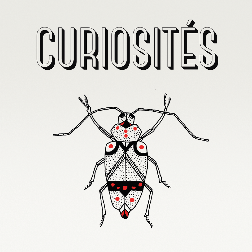 Curiosités